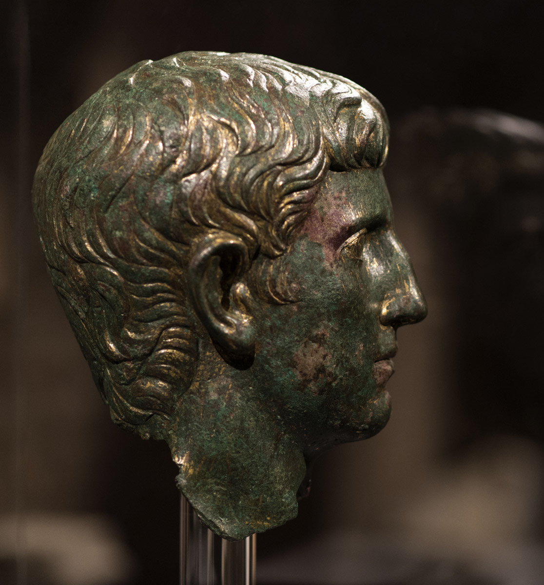 Male head from the Julio-Claudian dynasty. Turin, Museum of Antiquities.